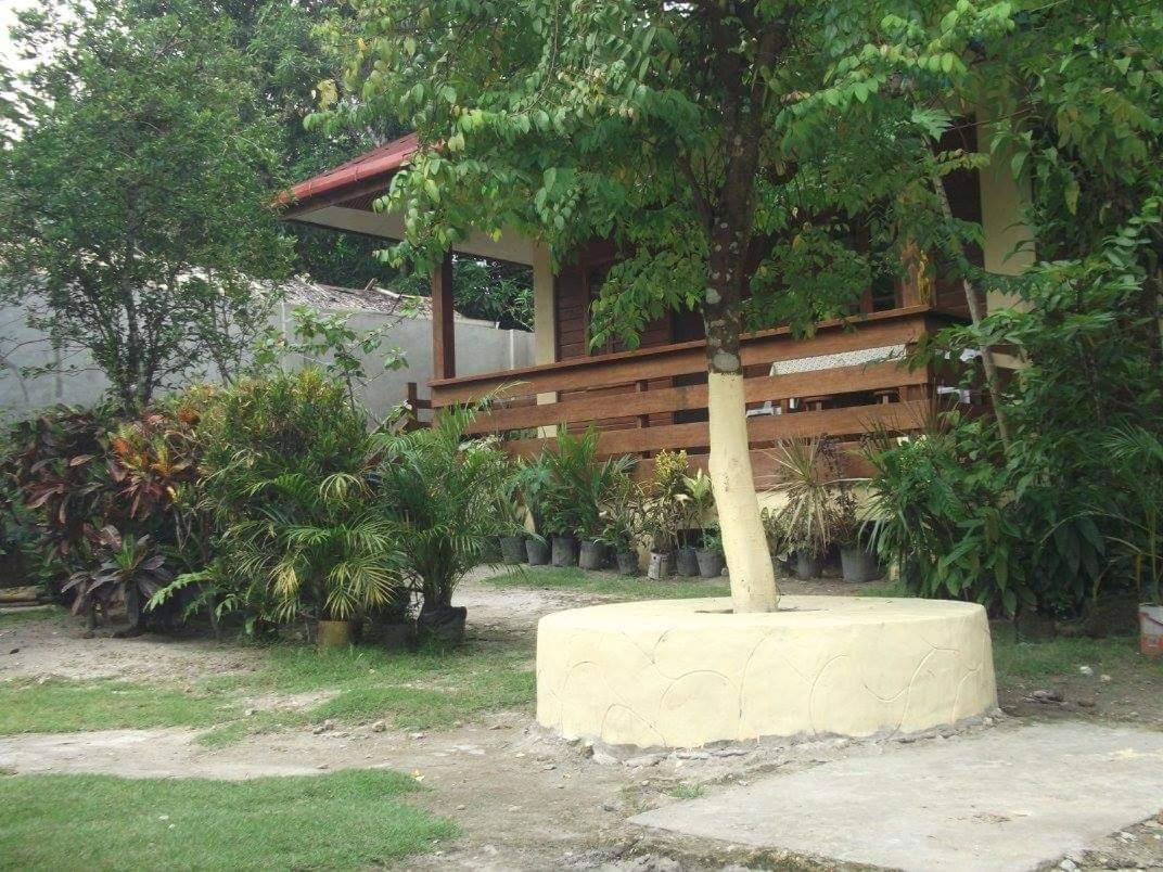 Nellie'S Tourist Inn- Port Barton San Vicente  Esterno foto