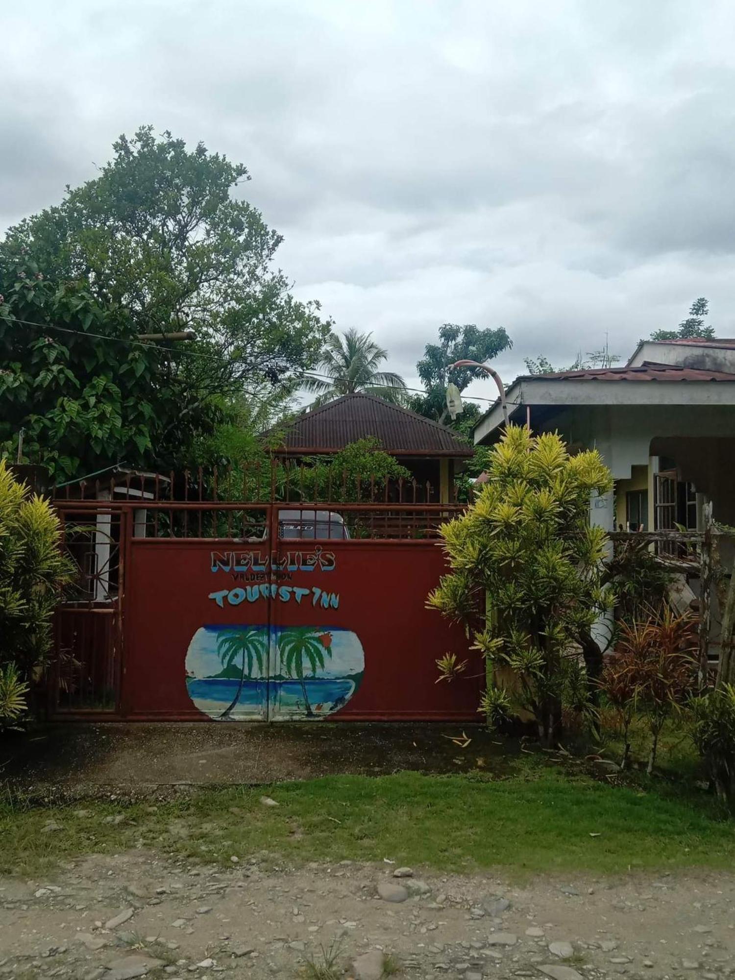 Nellie'S Tourist Inn- Port Barton San Vicente  Esterno foto